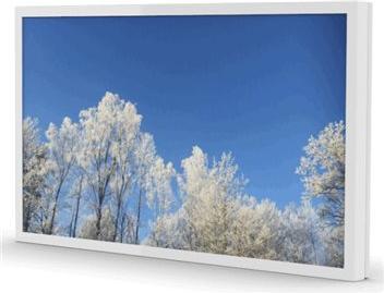 Actual product image HI-ND WC5500-0201-52 (Wall, 55")