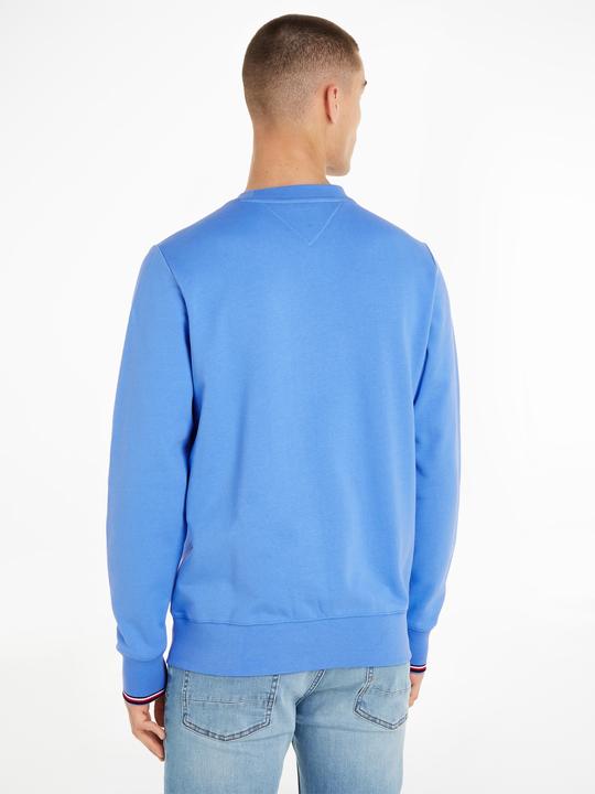 Actual product image Tommy Hilfiger Wcc Tommy Logo Tipped Crewneck (L)