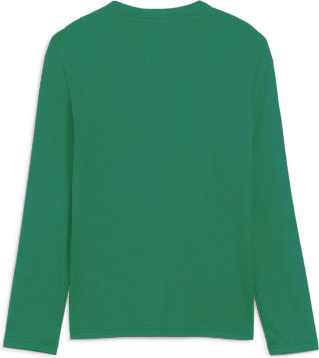 Actual product image Puma teamGOAL Baselayer Tee LS Jr. (128)