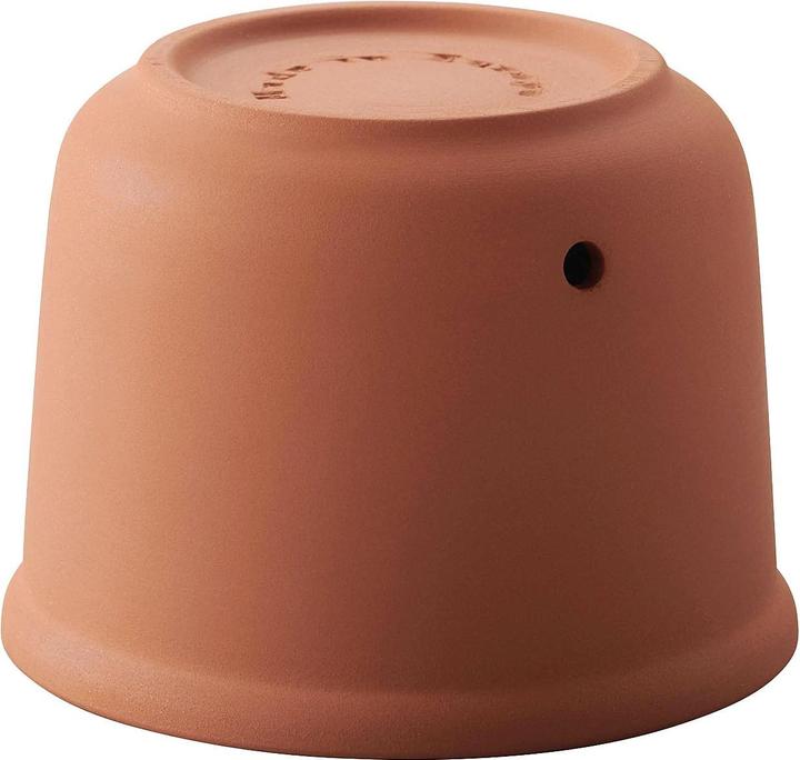 Immagine prodotto Römertopf Vaso fresco Maxi terracotta (20 cm, Pentola romana, Ceramica)