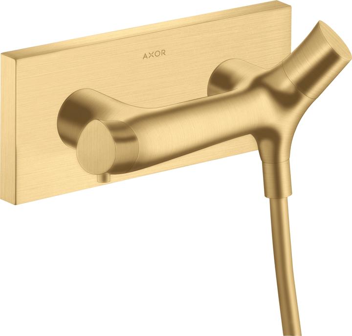 Brushed Gold Optic