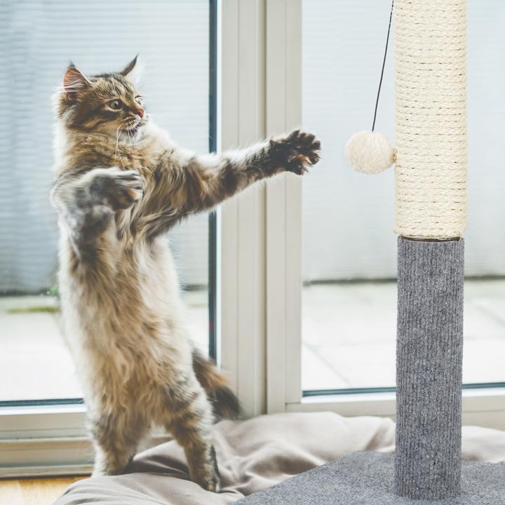 Immagine prodotto Relaxdays Colonna tiragraffi per gatti