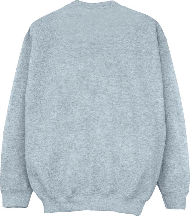 Actual product image Looney Tunes Classic sweatshirt girls (152, 158)