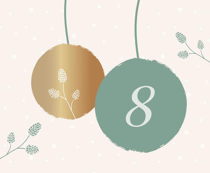 Produktbild Joy - 24 x Freude im Advent (Box, Lindgrün)