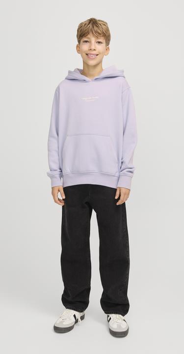 Immagine prodotto Jack & Jones Jorvesterbro Sweat Hood Noos Jnr (176)