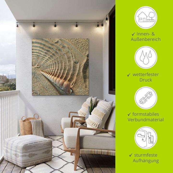 Actual product image Artland Poster Zen IV Shell T5DO 30x30 cm (50 x 50 cm)