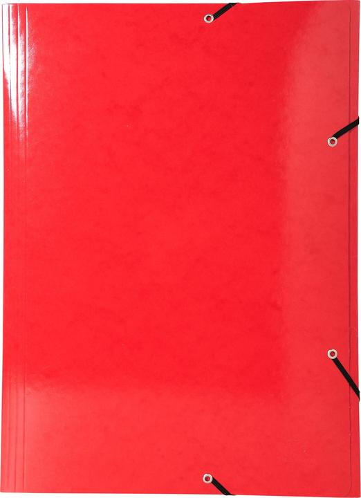 Produktbild Exacompta Sammelmappe mit Gummizug (A3, 1 x)