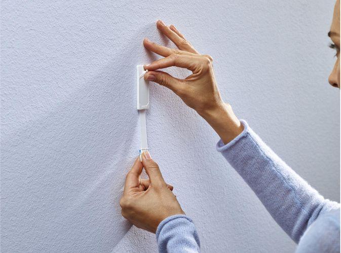 Immagine prodotto tesa Colla Chiodo Carta da parati e intonaco