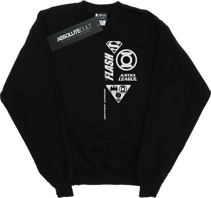 Justice League Chest Icons Sweatshirt Jungen