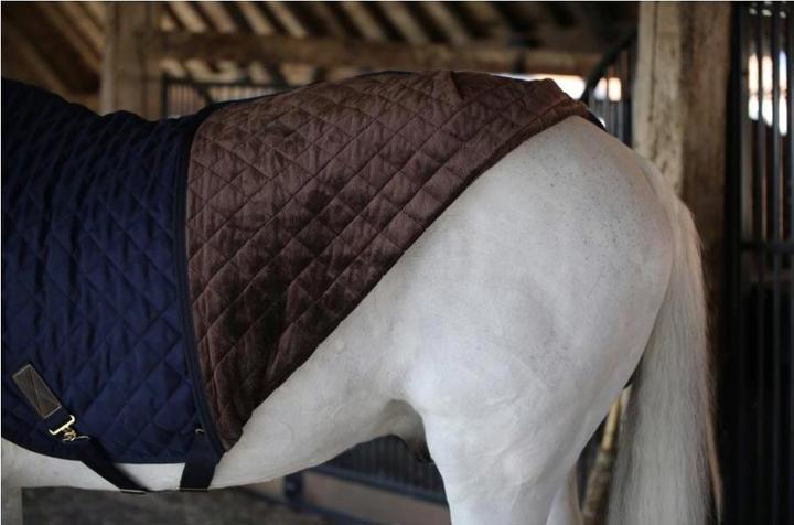 Immagine prodotto Kentucky Horsewear Coperta Walker 160g (155 cm)
