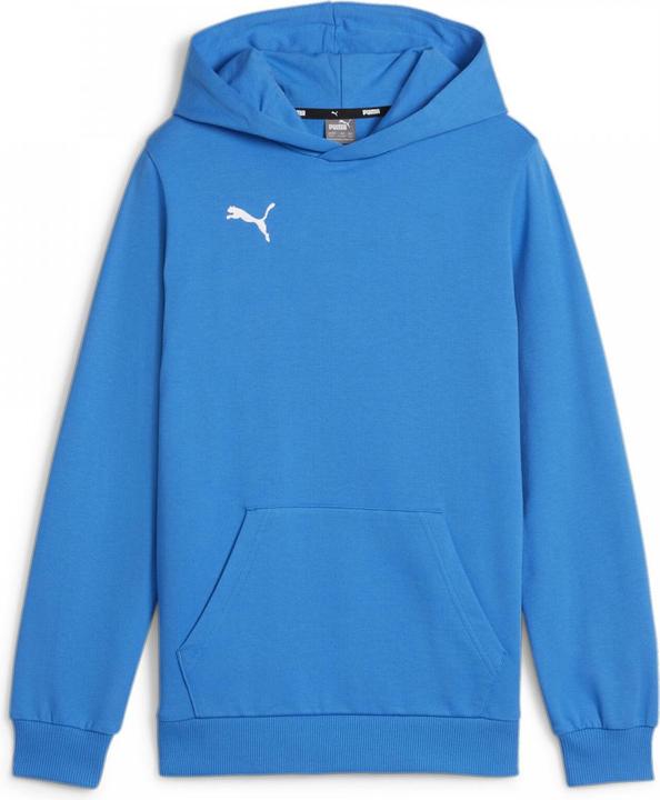 Actual product image Puma teamGOAL Casuals Hoody Jr (164)