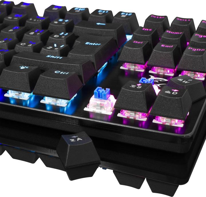 Actual product image White Shark Mechanical Gaming Keyboard Spartan, OUTEMU BLUE Switch, LED Rainbow Light, US Layout (DE, Cable)
