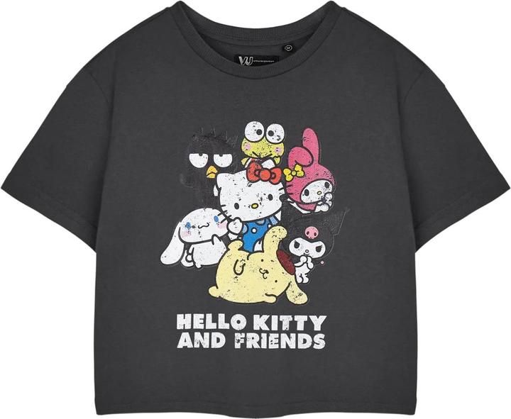 Produktbild Hello Kitty & Friends TShirt kurz geschnitten kurzärmlig (3XL)