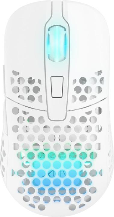 Produktbild CHERRY xtrfy M42 Wireless Gaming Maus, RGB (Kabellos)