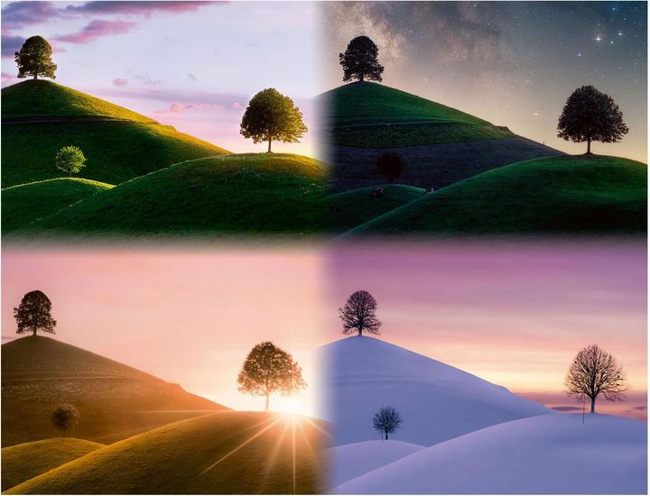 Actual product image Ravensburger Atmospheric trees and mountains (2000 pieces)
