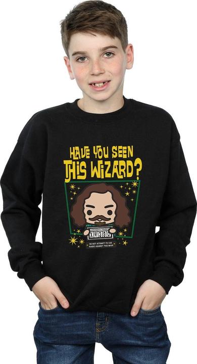 Image du produit - Sweat SIRIUS BLACK AZKABAN JUNIOR - Garçon (140, 146)