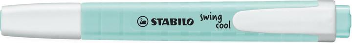Immagine prodotto STABILO Swing cool edizione pastello (Turchese, 1 mm, 1 x)