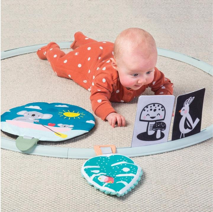Actual product image Taf Toys Activities Hoop All Around Me