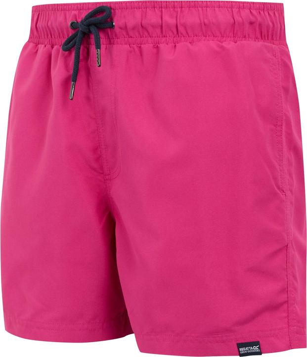 Produktbild Regatta Mawson II Kurze Hose (XXL)