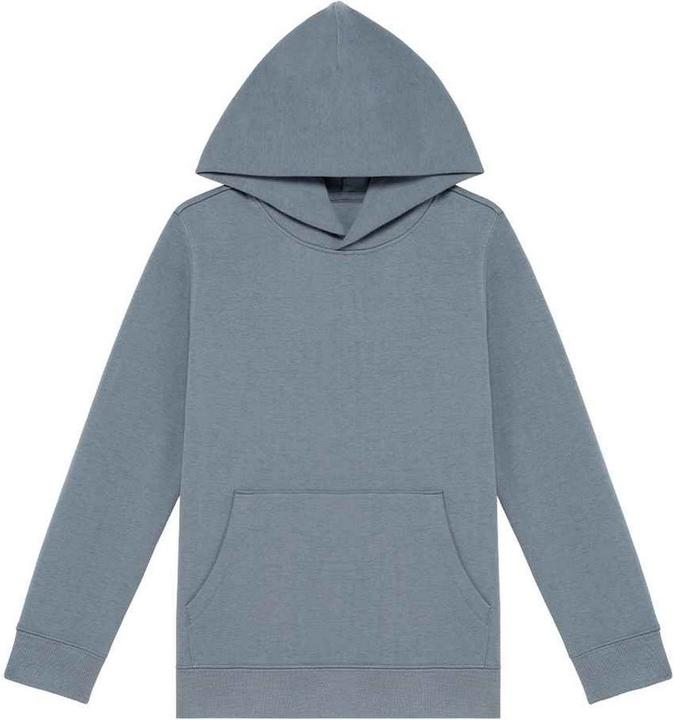 Produktbild Native Spirit Kapuzenpullover (146, 152)