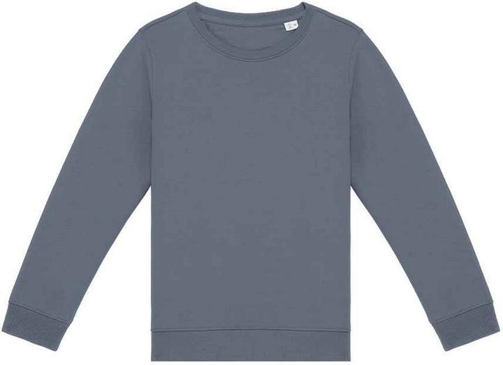 Actual product image Native Spirit Sweatshirt (158, 164)