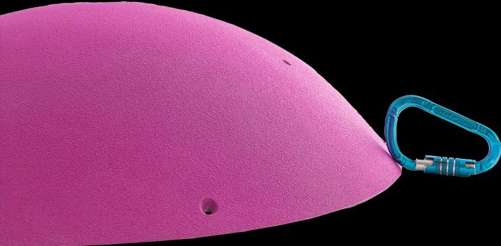 Actual product image Entre Prises WOK S Climbing Wall ElementStructure (Desired colour (production))