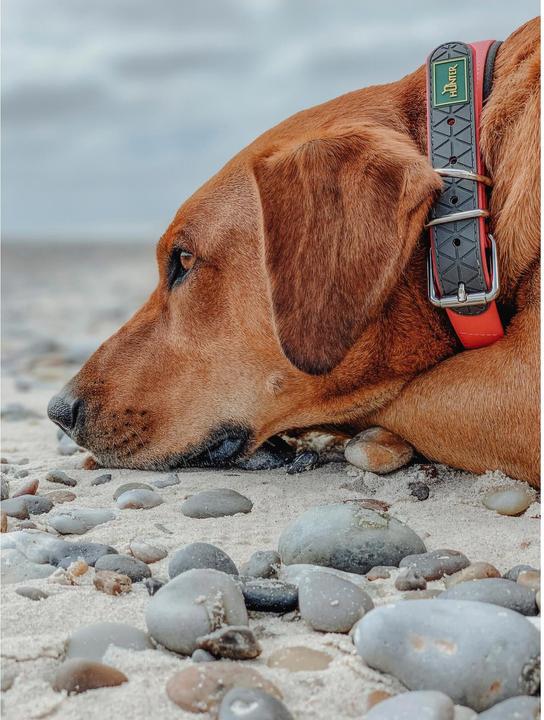 Produktbild Hunter Halsband Convenience Comfort Biothane Neoprengepolstert (27, 28, 29, 30, 31, 32, 33, 34, 35, Hund, Allgemein)