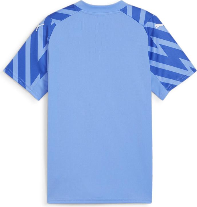 Image du produit Puma ASF Replica (152)