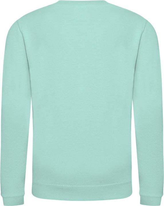 Actual product image Awdis Just Hoods Pullover Sweatshirt Unicoloured (104)