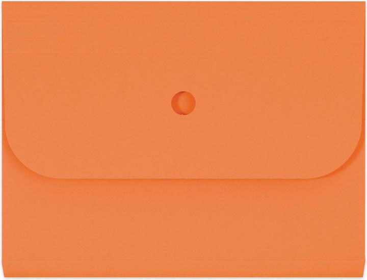 Image du produit Elco ORDO FORTE A4 horizontal (A4, 25 x)