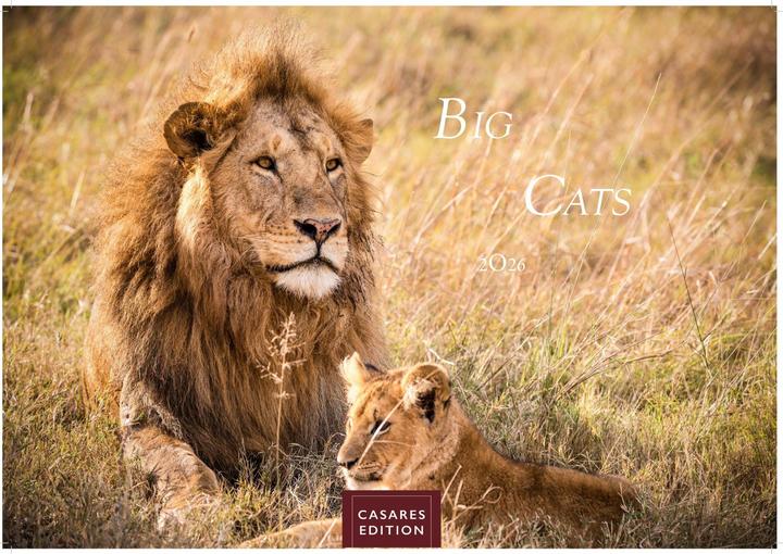 Immagine prodotto Big Cats 2026 S 24x35cm (24 x 35 cm, Tedesco)