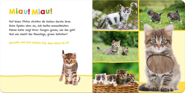 Produktbild Hör mal rein, wer kann das sein? Lieblingstiere (Deutsch)