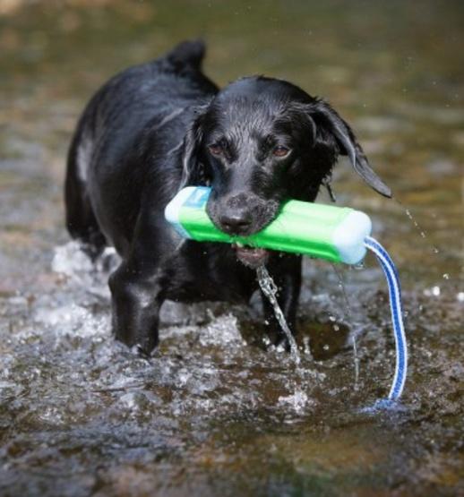 Produktbild Chuckit! Amphibious Bumper Assorti (Kauspielzeug Hund)