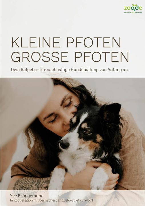 Produktbild Kleine Pfoten, Grosse Pfoten (Deutsch, Yve Brüggemann, Nina Rimbach, 2022)