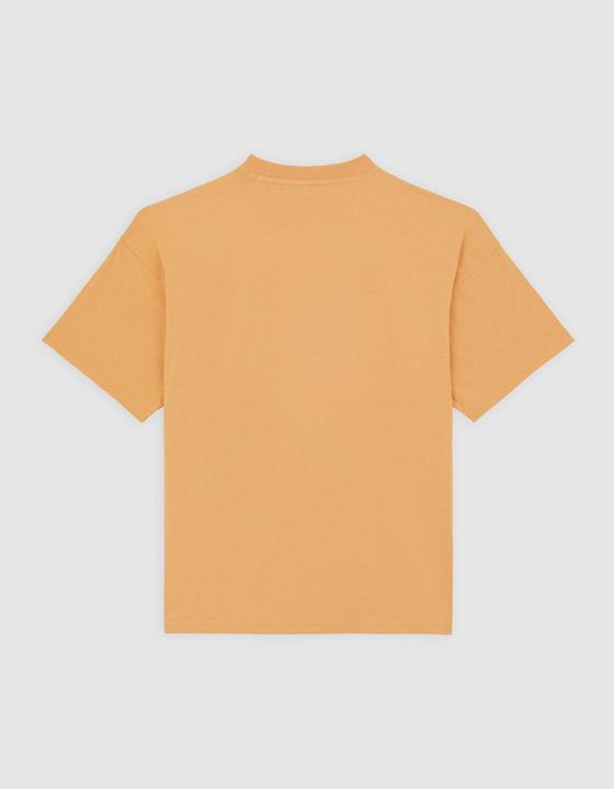 Dickies Enterprise Tee Ss Oak Buff (L)