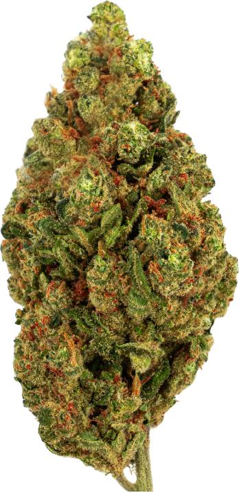 Produktbild Green Passion Passion Kush (10 g, Indoor)