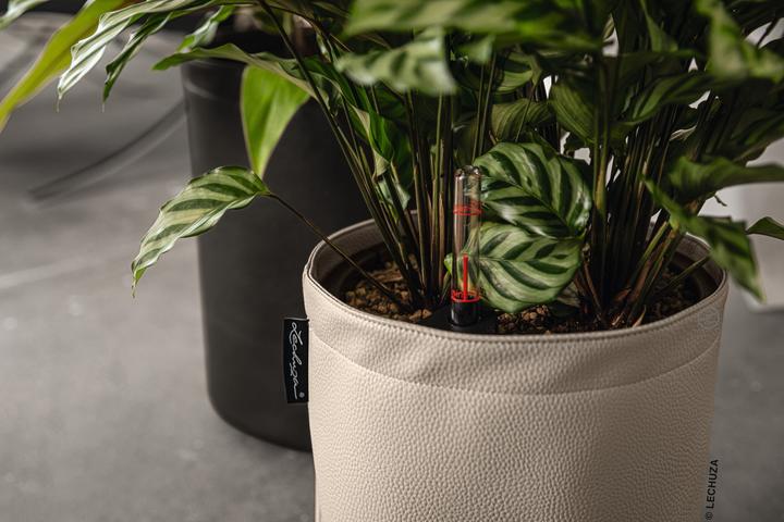 Produktbild Lechuza Trendcover Veganes Leder.