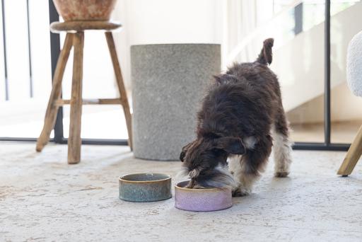 Immagine prodotto Designed by Lotte Ciotola per cani Jace (0.70 l)