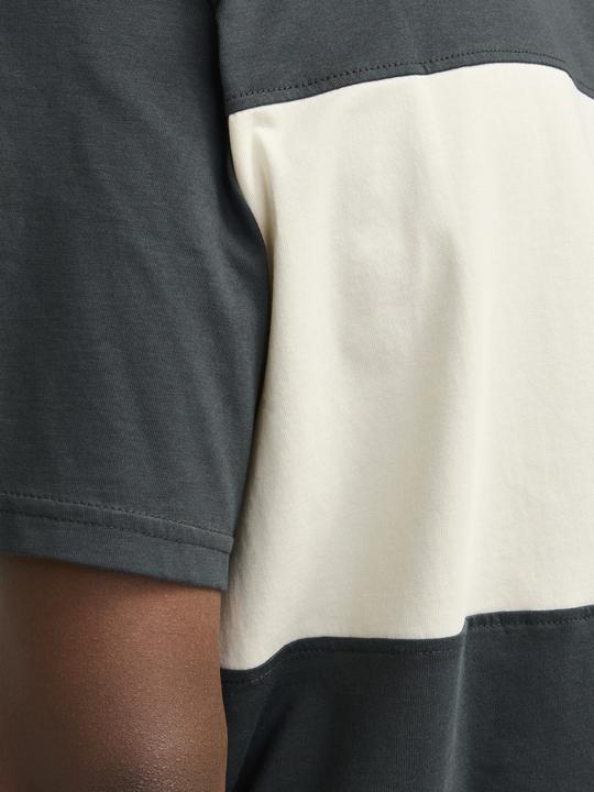 Produktbild Jack & Jones Jorvesterbro Block Tee Ss Crew Styd Aw24 (M)