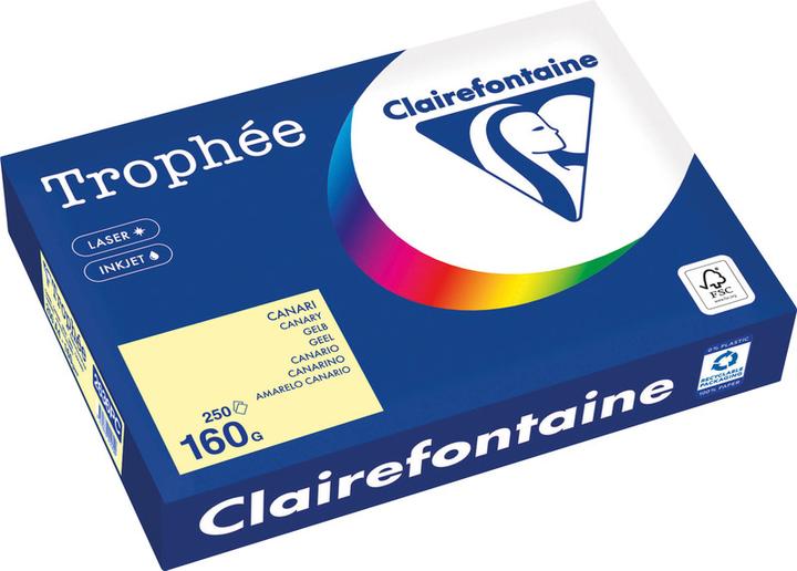 Produktbild Clairefontaine Universalpapier Trophée farbig (160 g/m², 250 x, A4)