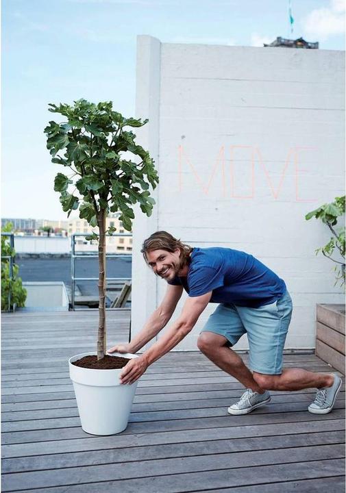 Actual product image Elho Loft Urban (38.50 cm)