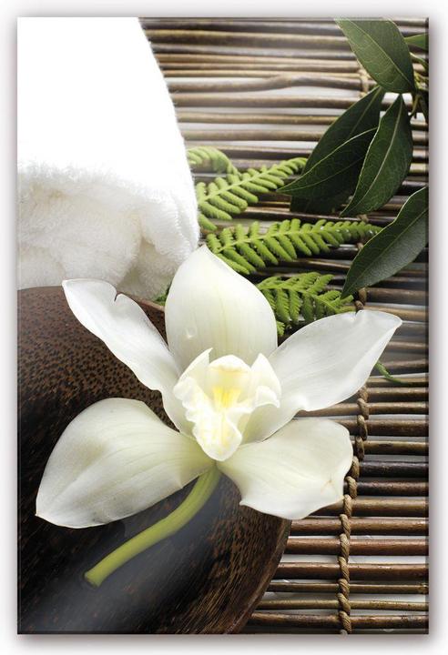 Immagine prodotto Trenddeko Orchidea del benessere (75 x 120 cm)