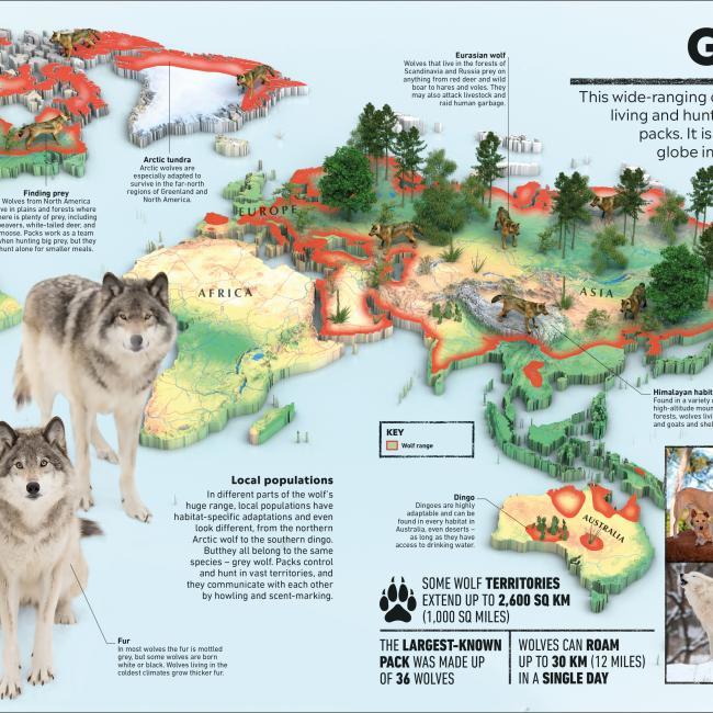 Image du produit What's Where on Earth? Animal Atlas (Anglais, Dorling Kindersley Ltd., 2021)