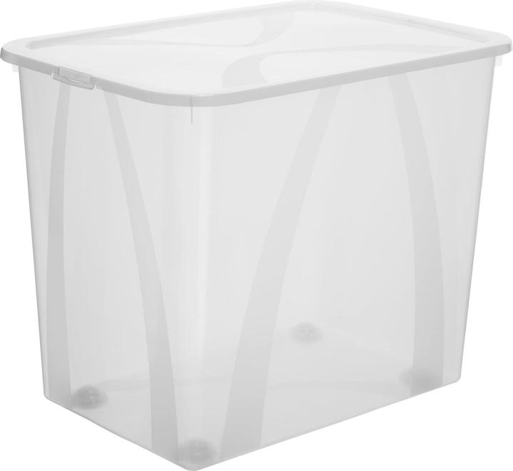 Image du produit Rotho Arco (56.5 x 38 x 47 cm, 70 l)