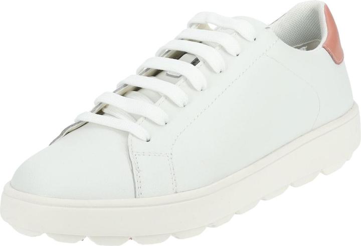 Geox 2882116