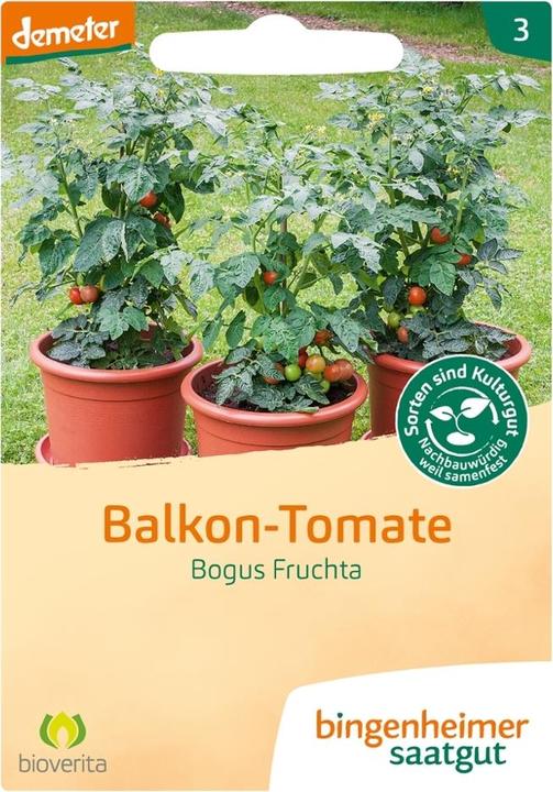 Bingenheimer Saatgut Pomodoro da balcone Bogus Fruchta (Germogli)