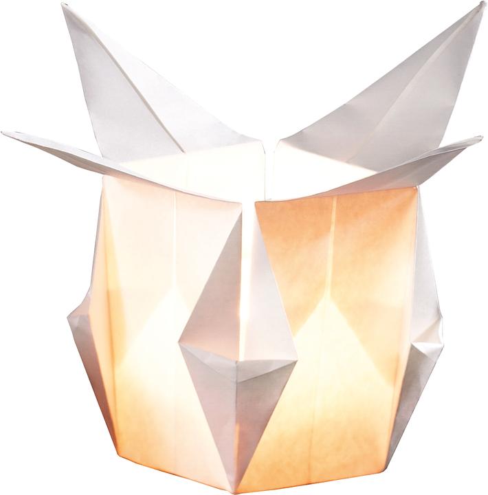 Actual product image Folia flyers made of illuminated paper (80 g/m², 12 x)