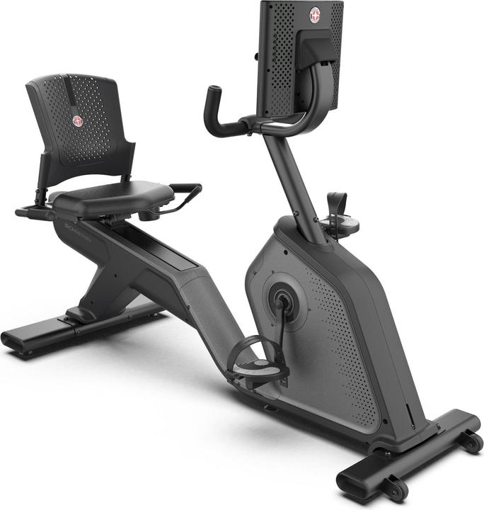 Actual product image Schwinn Ergometer 590R