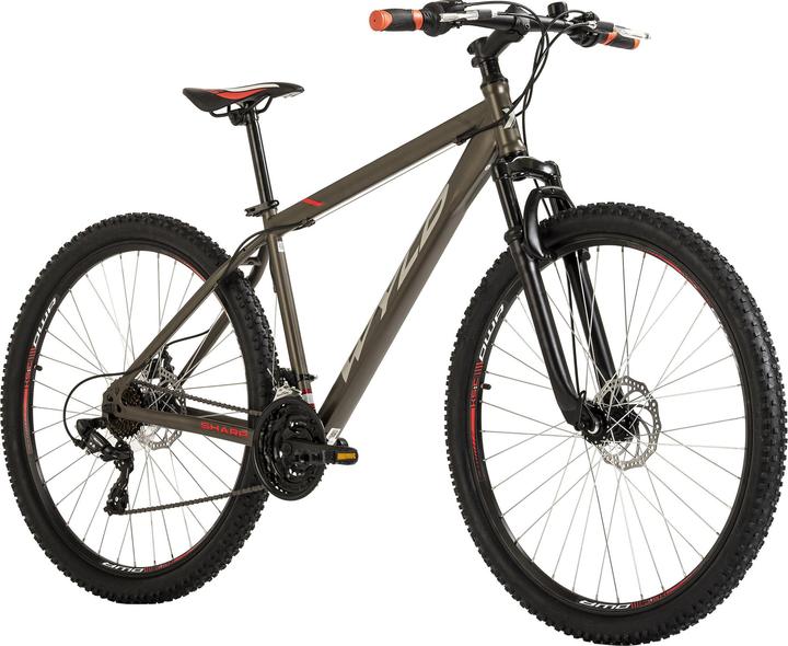 Actual product image Wyld Mountainbike Hardtail 29" Sharp Scheibenbremse platin-grau 21 Gänge (51 cm)