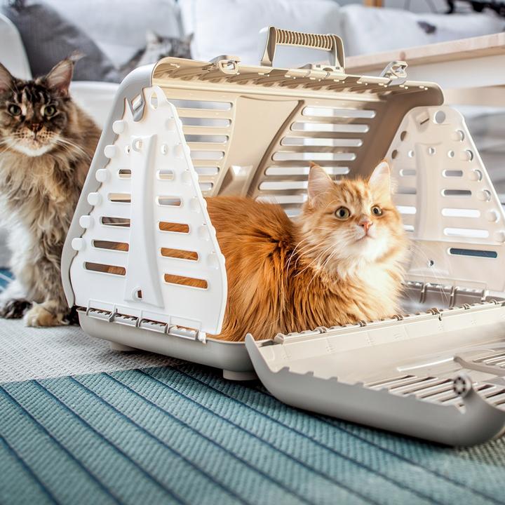 Image du produit Rotho TOBY Boîte de transport pliable avec roulettes (Chien, Chat, Respirant, Réflecteurs)